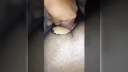 Потёрся членом о спящую жену