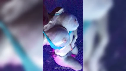 Большие дойки под водой