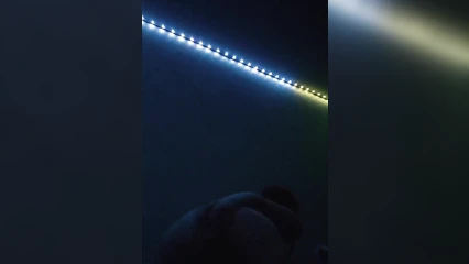 Молодая надрачивает перед камерой