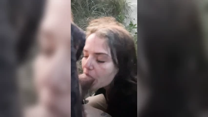 Утреннее порево на природе