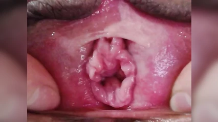 Максимально крупный план манды