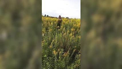 Фотосессия