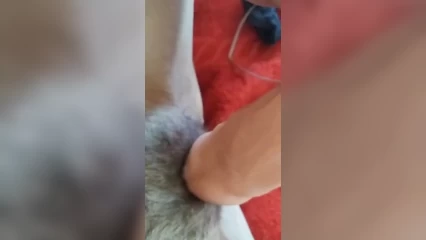 Мастурбация  жены