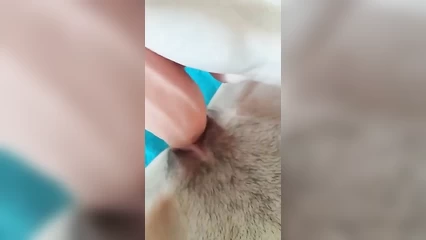 Оргазм от вибратора