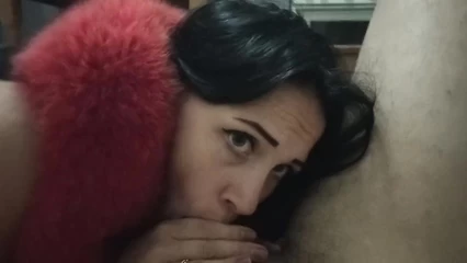 Шлюха ебаная, сосать